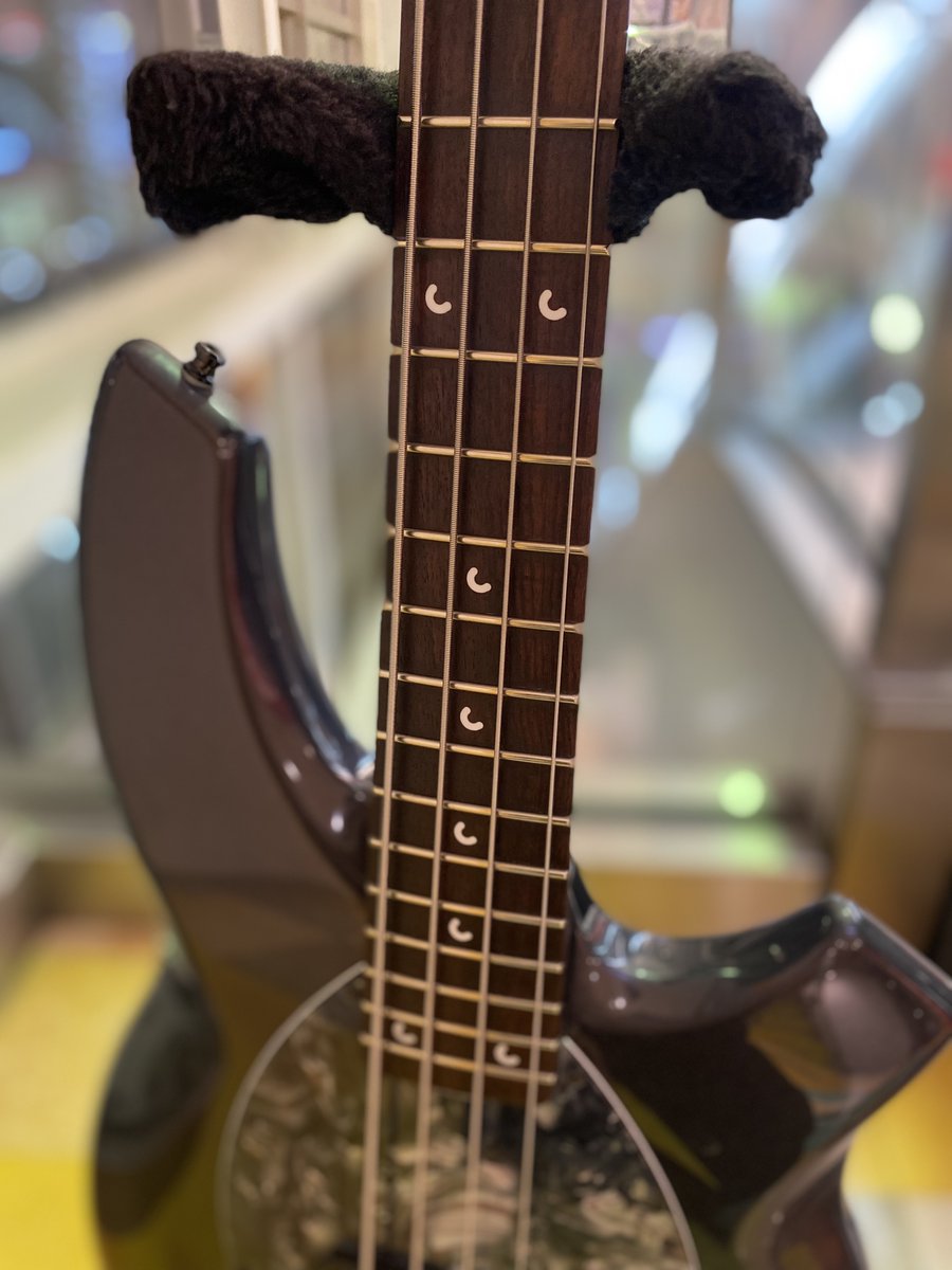 ✨️中古ベース入荷✨️ 《MUSIC MAN / Bongo 4 Piezo Graphite Pearl