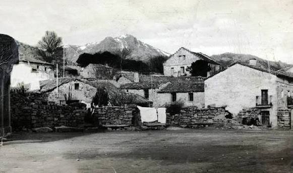 Nisu  ♜ tweet media