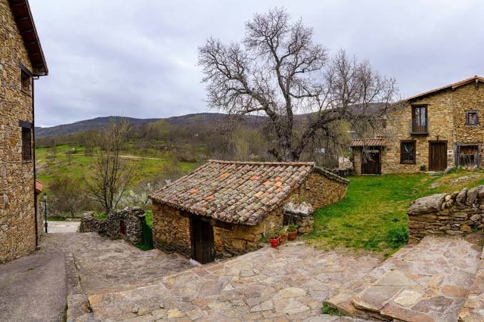 Nisu  ♜ tweet media