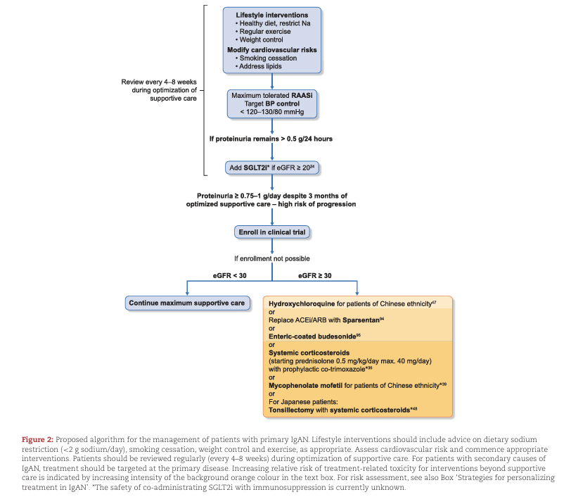 NDTsocial's tweet photo. IgA nephropathy in adults: treatment standard

https://t.co/8RsNgK6jkZ https://t.co/UDxsyij90Z