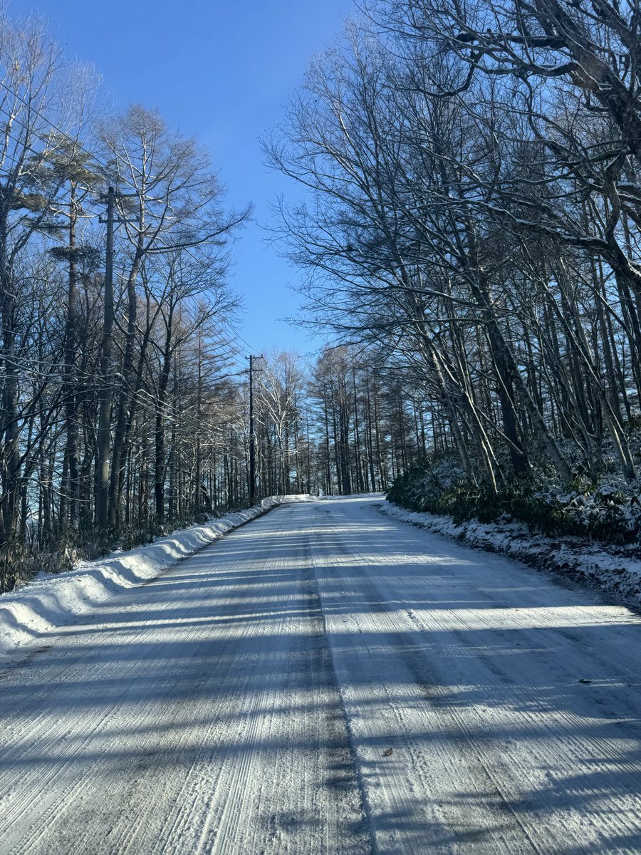 左が階段が見える一枚目は、たかの湯さんから大又山荘さんの間の日影になります。
ここは、カーブだけ雪がついてます。

２枚目の木がサイドにある写真は、休暇村さん（スキー場から10-15分程下）から上になります。

ゆっくり登ってきてくださいね🌸