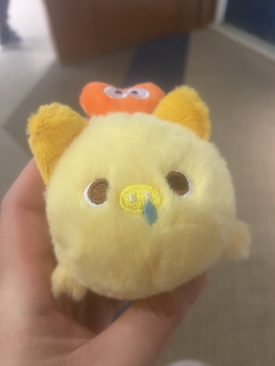 推しが反応しそうなブタちゃんのぬいぐるみ発見…🐷💛