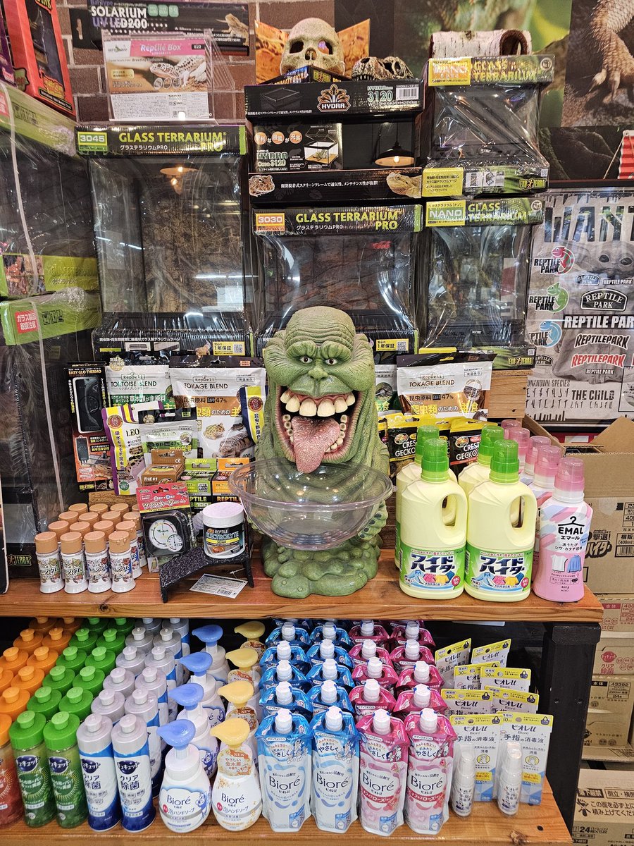 📢爬虫類くじ詳細📢 明日・明後日は🔥 1回500円で可愛い爬虫類達が