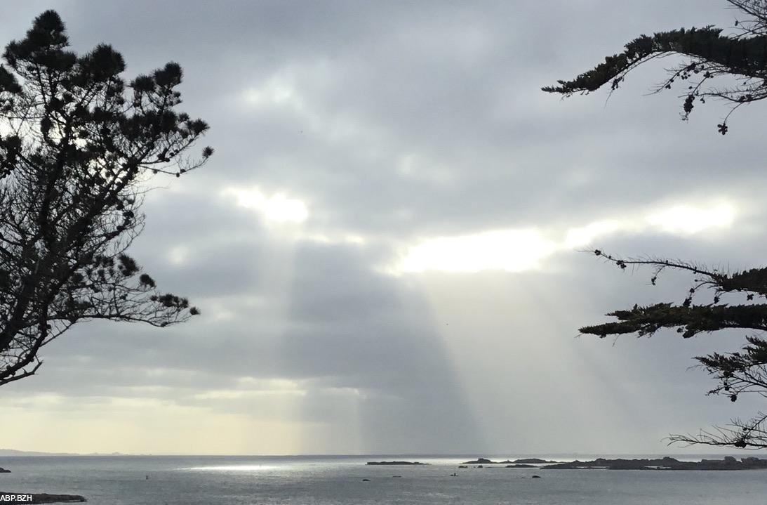 Agence Bretagne Presse - ABP tweet media