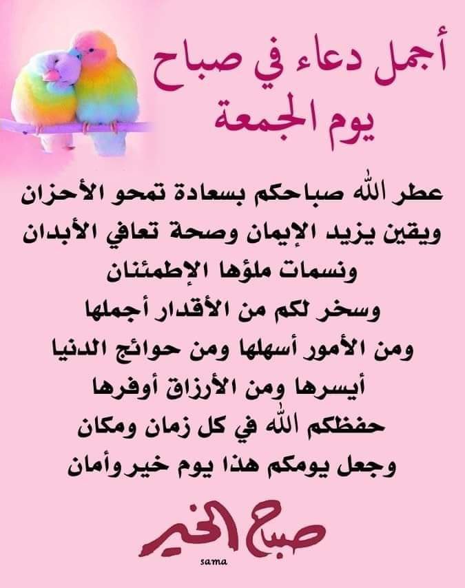 Mohamed Shahda Miqdad (@mou_shahda) on Twitter photo 