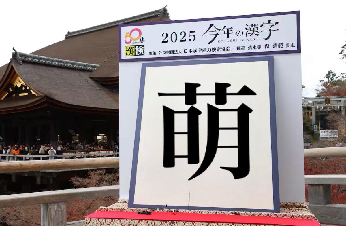 ろこ様♡専用です(^^♪ cacaoさま専用 専用 ロコさま専用 ZX｜製品紹介｜YASAKA株式会社