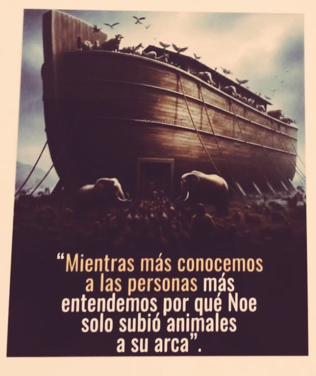 Hanna Arranz (@hannaarranz) on Twitter photo 