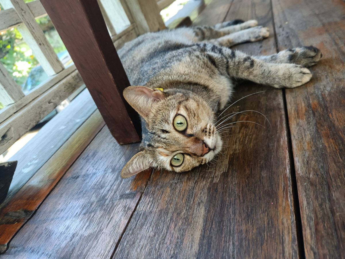 You’re down bad if you’ve seen her viral vid ?