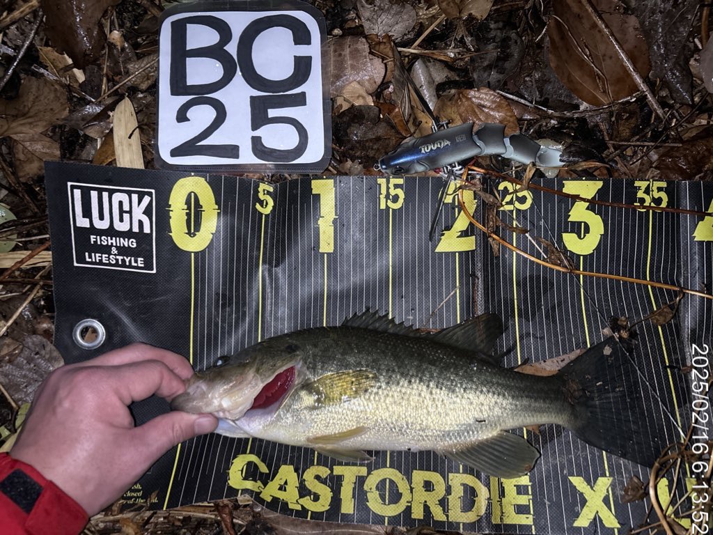 XkHQtZK8kx3fhWt's tweet photo. KAESUのデカハネと言えば「TOUDA」😊👍🎣!
低水温期、季節問わず荒天時に圧倒的に強い「多連結系デカハネ」です😊🎣!
※写真は過去釣果です
#KAESU
#TOUDA https://t.co/hrEqcifPeM