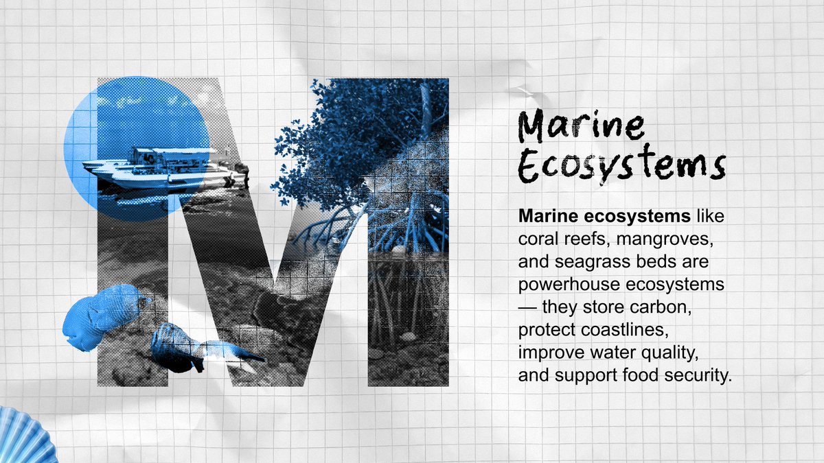 UKinIndia's tweet photo. Southeast Asia’s oceans are home to:
🪸 34% of global coral reefs
🐟 Nearly 25% of the world’s seafood supply
Through the Blue Planet Fund, the UK is supporting conservation efforts to protect these ecosystems and boost climate adaptation across the region.
#ABCsOfClimate https://t.co/l1jzbp70IG