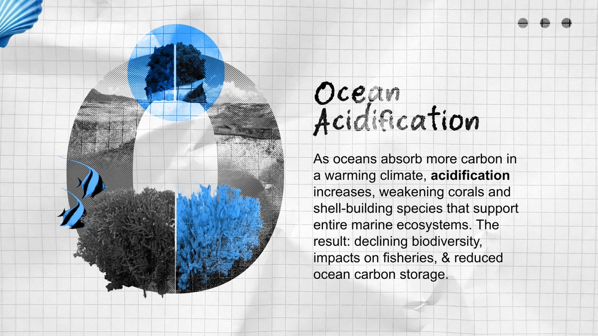 UKinIndia's tweet photo. Southeast Asia’s oceans are home to:
🪸 34% of global coral reefs
🐟 Nearly 25% of the world’s seafood supply
Through the Blue Planet Fund, the UK is supporting conservation efforts to protect these ecosystems and boost climate adaptation across the region.
#ABCsOfClimate https://t.co/l1jzbp70IG