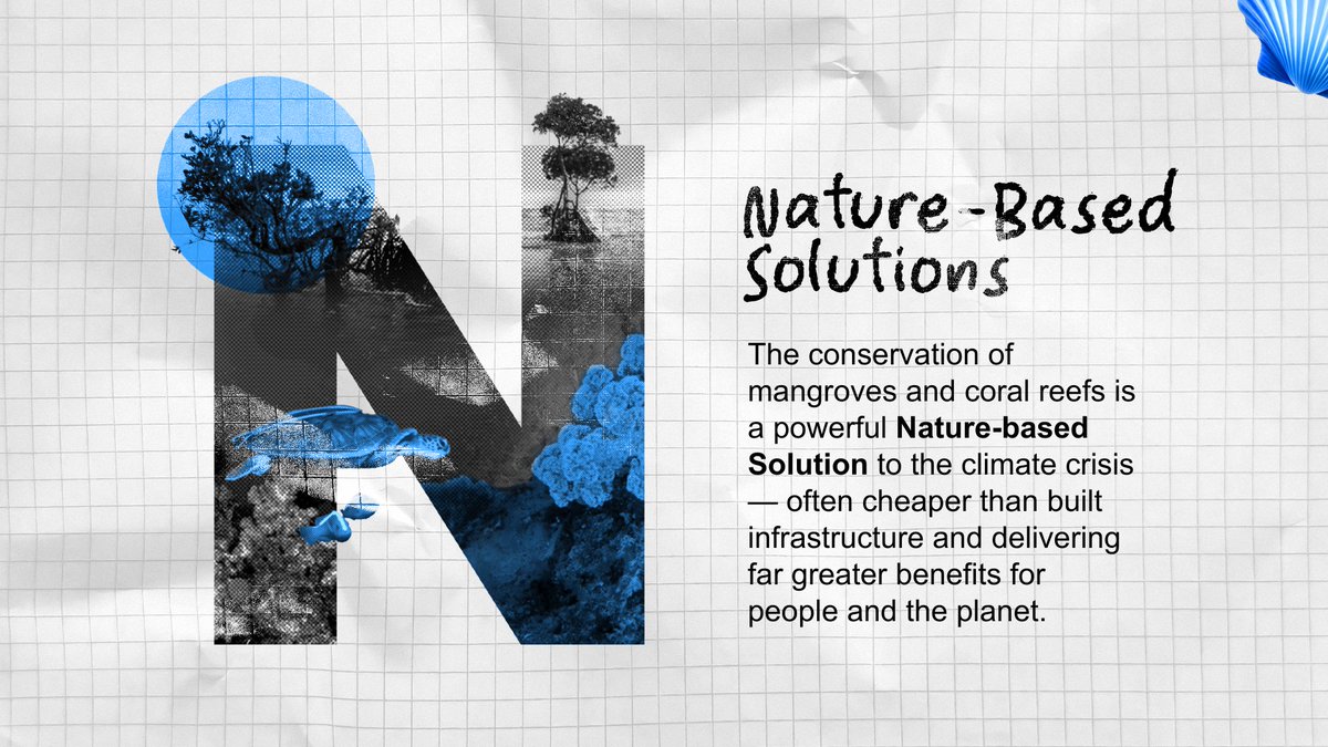 UKinIndia's tweet photo. Southeast Asia’s oceans are home to:
🪸 34% of global coral reefs
🐟 Nearly 25% of the world’s seafood supply
Through the Blue Planet Fund, the UK is supporting conservation efforts to protect these ecosystems and boost climate adaptation across the region.
#ABCsOfClimate https://t.co/l1jzbp70IG