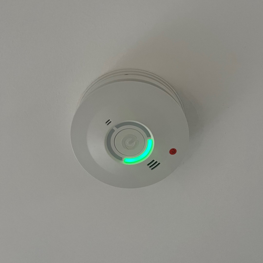 click litehouse tweet media