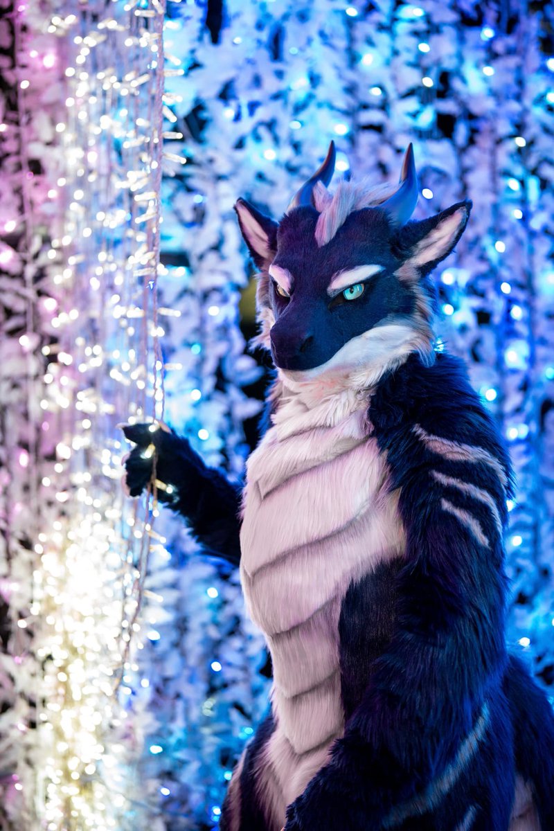 Night at #Kemocon18

📷 Loyn
#FursuitFriday