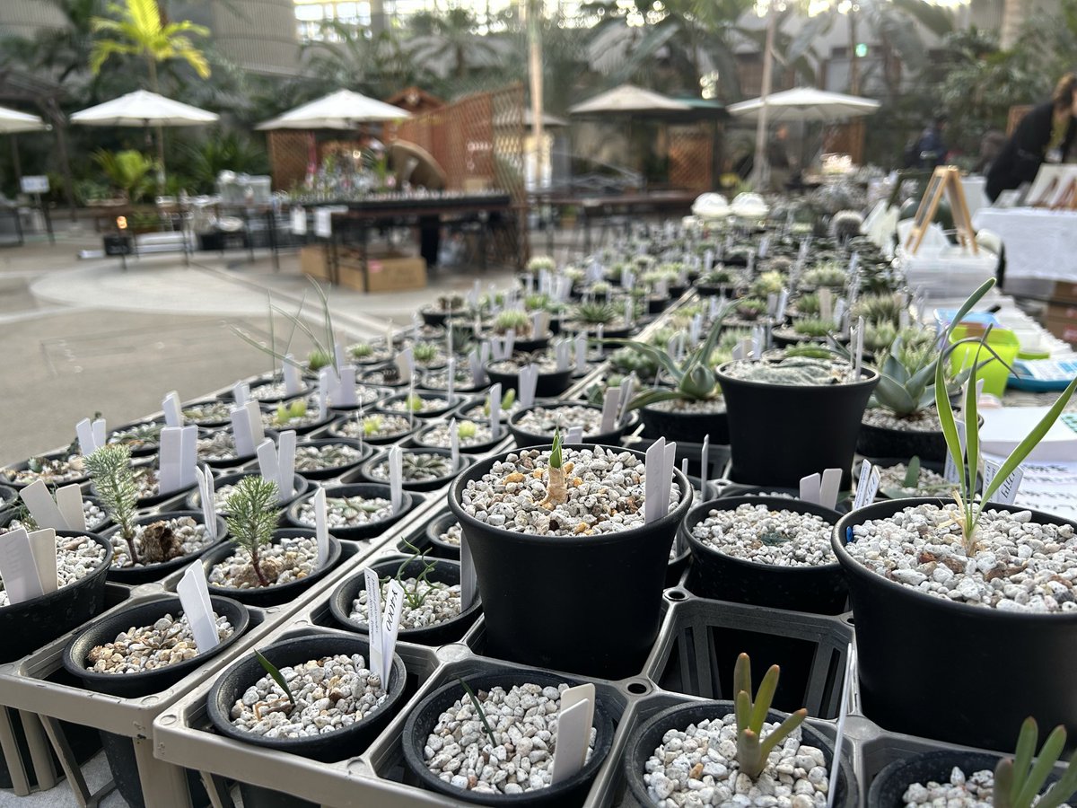 GreenNote777's tweet image. 明日から2日間、どうぞよろしくお願い申し上げます！
#borderbreak10th