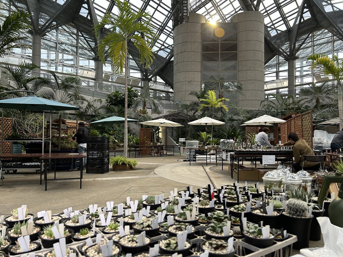 GreenNote777's tweet image. 明日から2日間、どうぞよろしくお願い申し上げます！
#borderbreak10th