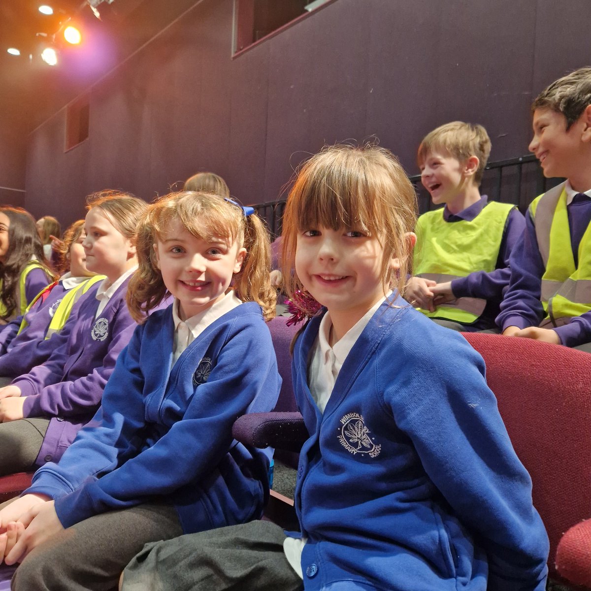 Team Horse Chestnut tweet media