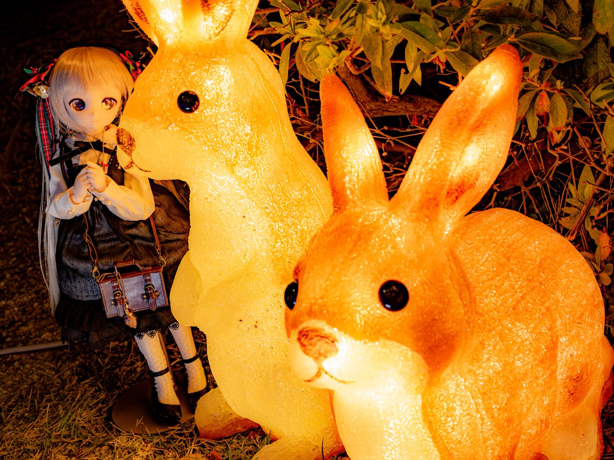 🎄✨クリスマスまであと12日🎁✨ 𝟙𝟚 𝒅𝒂𝒚𝒔 𝒖𝒏𝒕𝒊𝒍