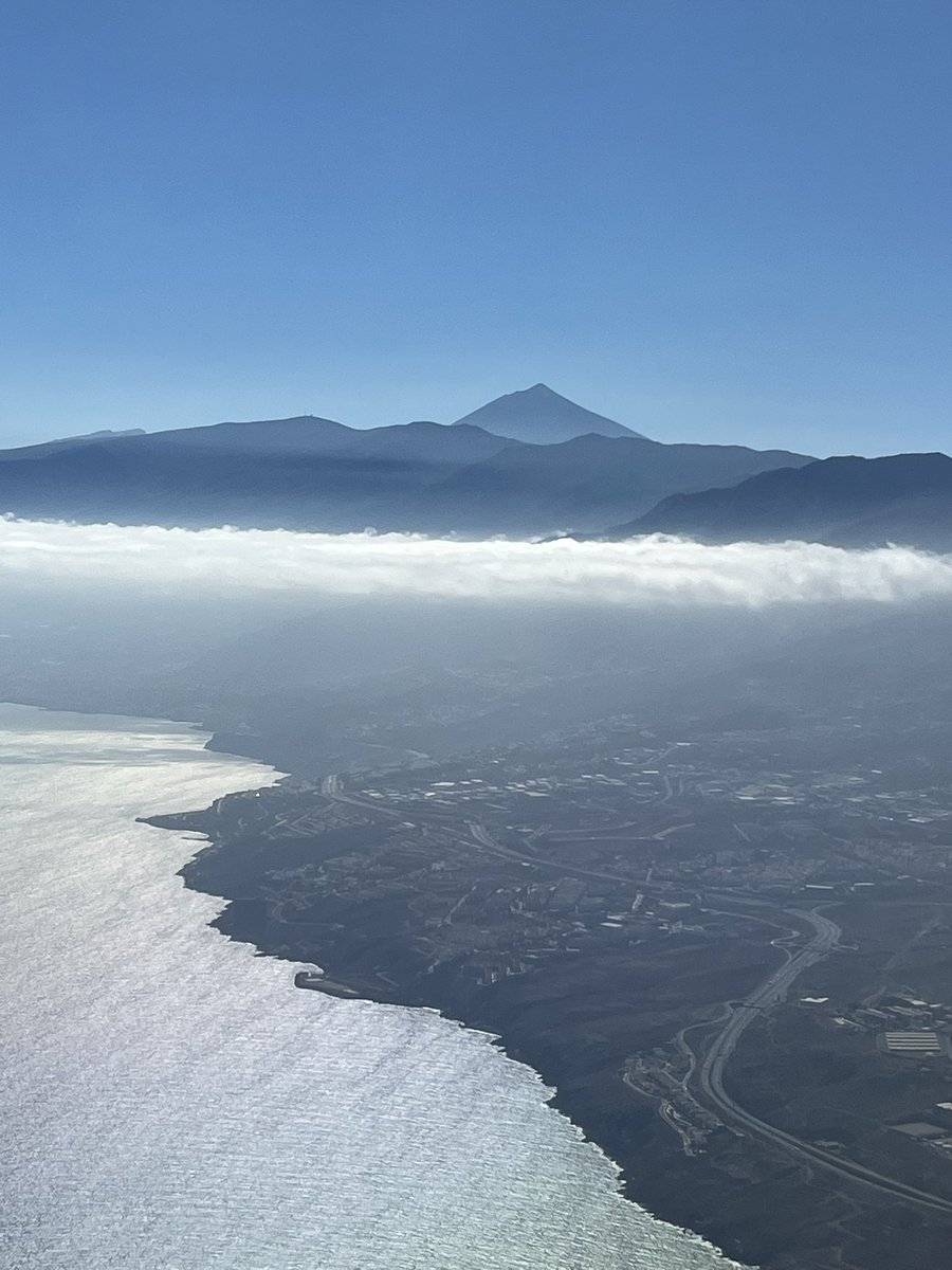 jesús hdez tweet media