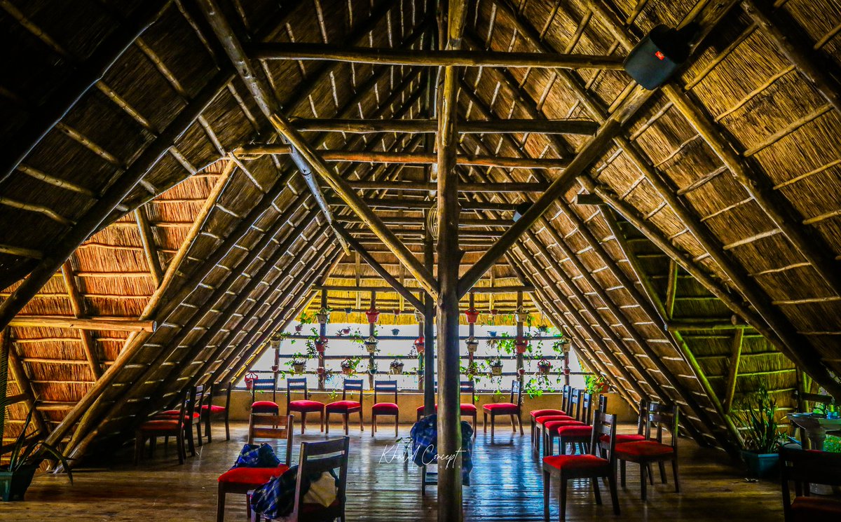 WestNile Birding & Safari tweet media