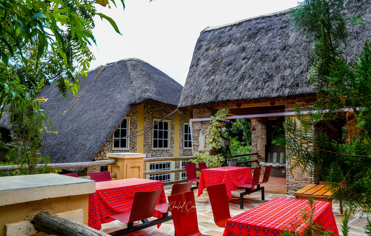 WestNile Birding & Safari tweet media