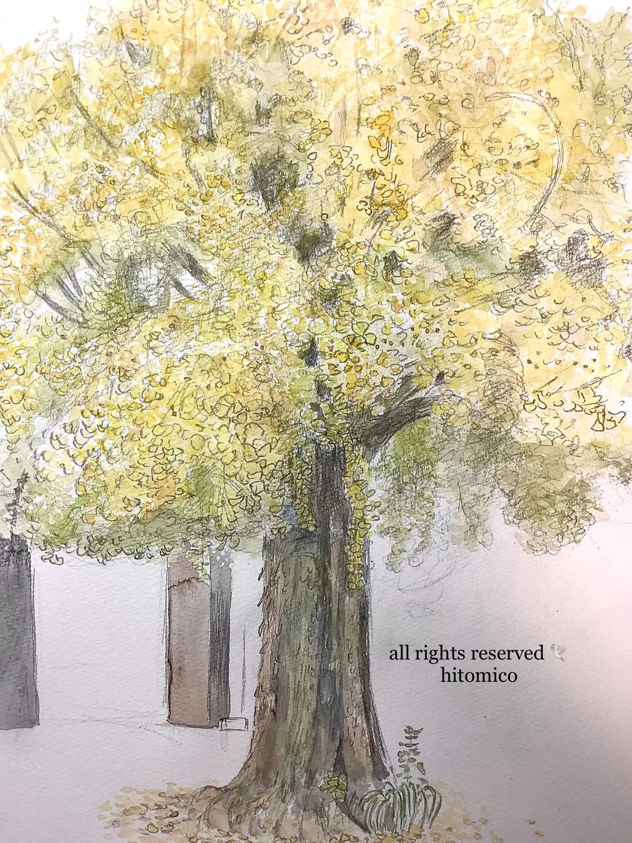 光を纏い金の輪のなる樹　　水彩画原画 ω-;)ウーン…こう言う背景と言うか静物画？が描けるようになりたいなー