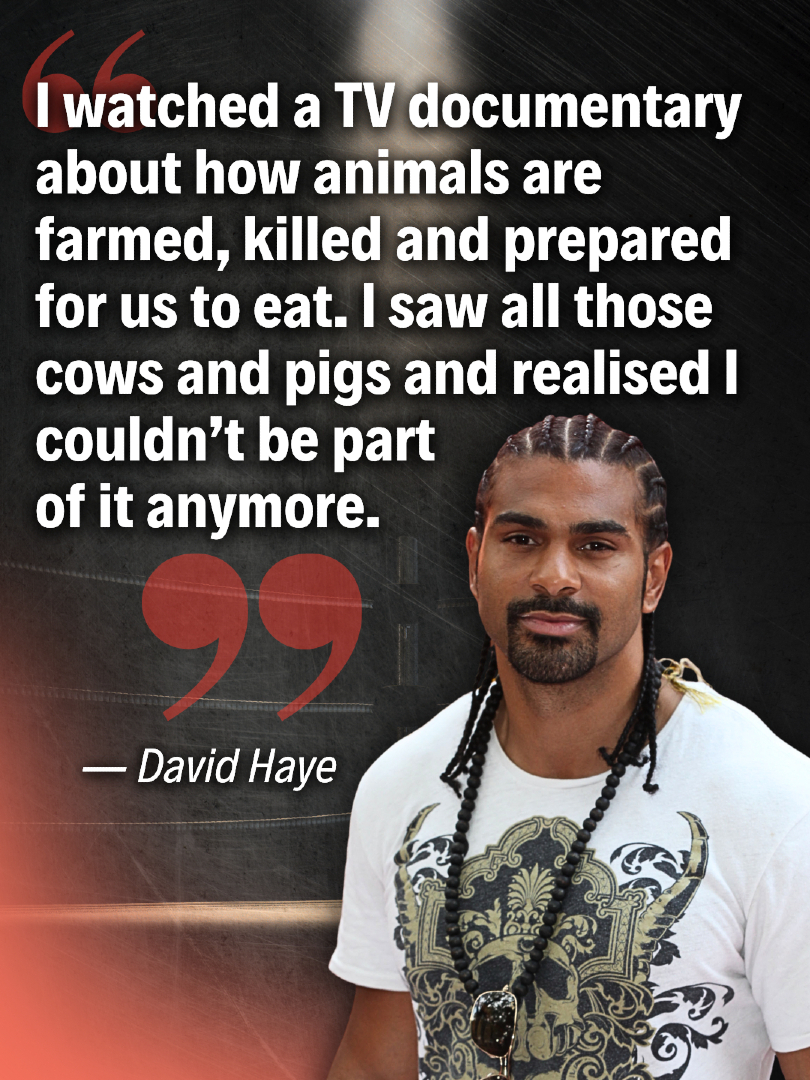 Vegan FTA tweet media