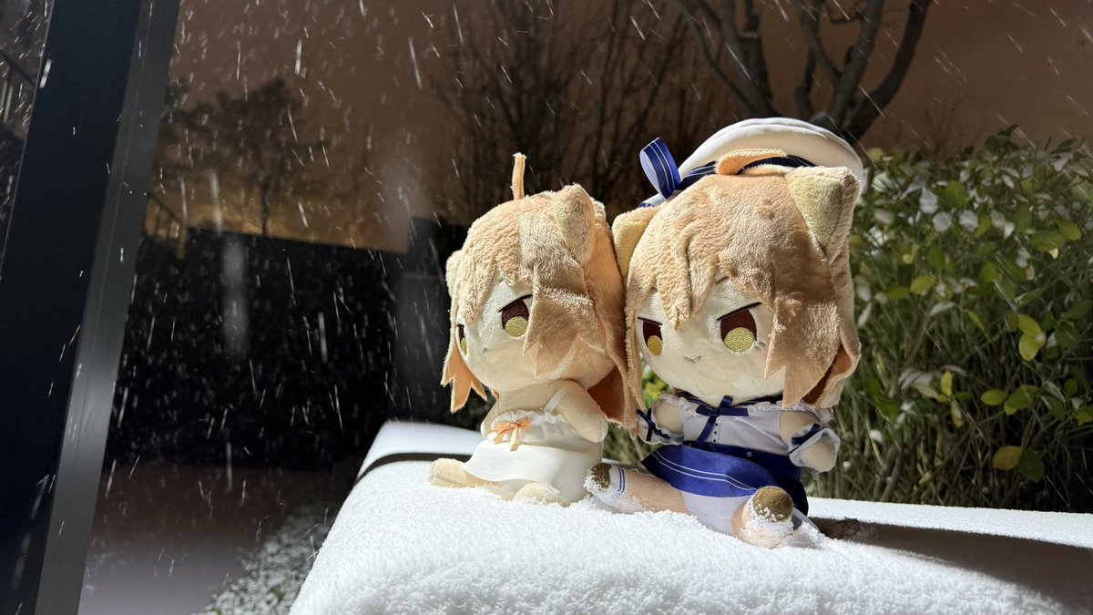 caba_sky's tweet photo. Lions within the first snow
#るるどらいおん https://t.co/chSwFTtMF7