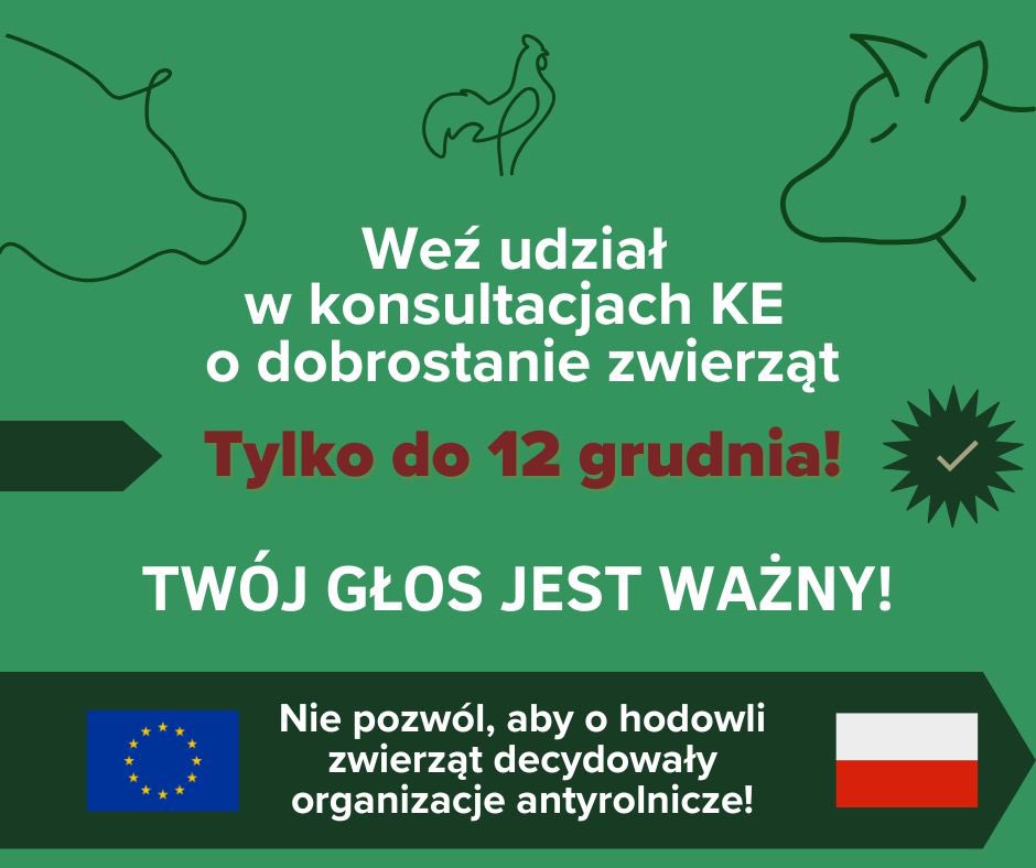 jacekzarzecki tweet media