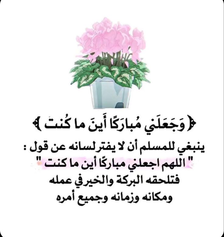 سنابل ذهبيه🌾 tweet media