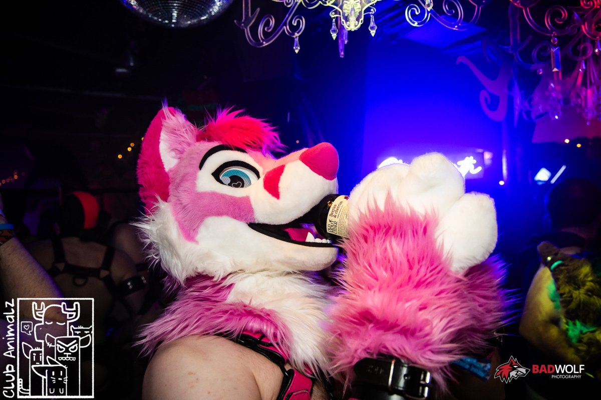 Axel 🔜 🎄🎄🎄🎄🎄 tweet media