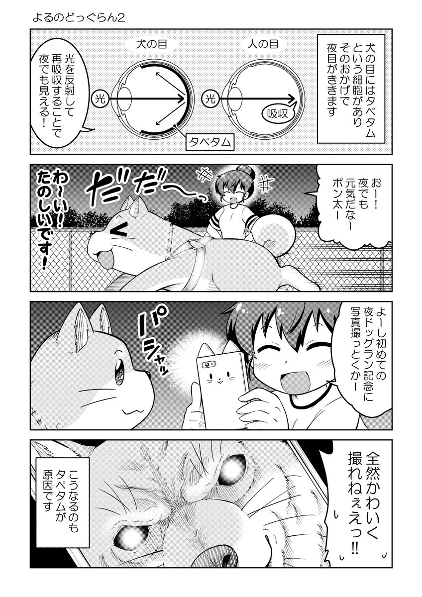 5/5
こちら僕が以前描いていた
「ごすじん大好きポン太の憂鬱」
というマンガです!!
プロフの固定ポストの6⃣のところにURL書いてありますのでもっと読みたい!という方は是非固定ポストから読んでください!

ちなみにポン太の新作只今セール中です!!!
200円くらいで読めます! 