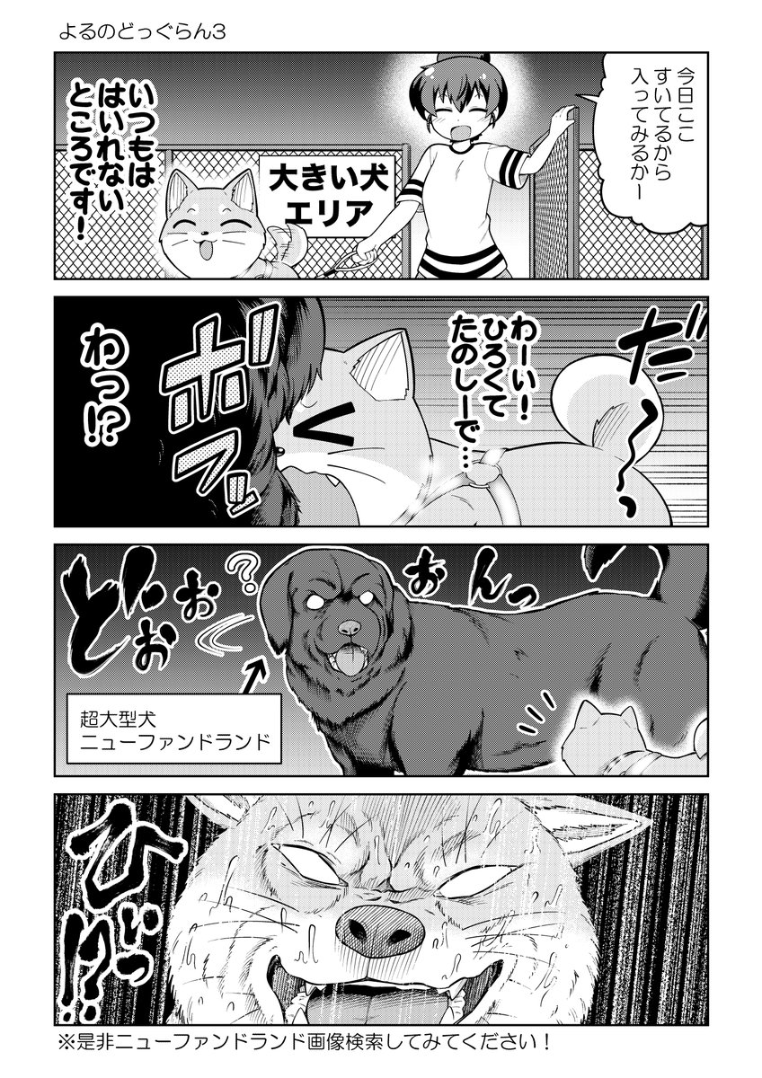 5/5
こちら僕が以前描いていた
「ごすじん大好きポン太の憂鬱」
というマンガです!!
プロフの固定ポストの6⃣のところにURL書いてありますのでもっと読みたい!という方は是非固定ポストから読んでください!

ちなみにポン太の新作只今セール中です!!!
200円くらいで読めます! 