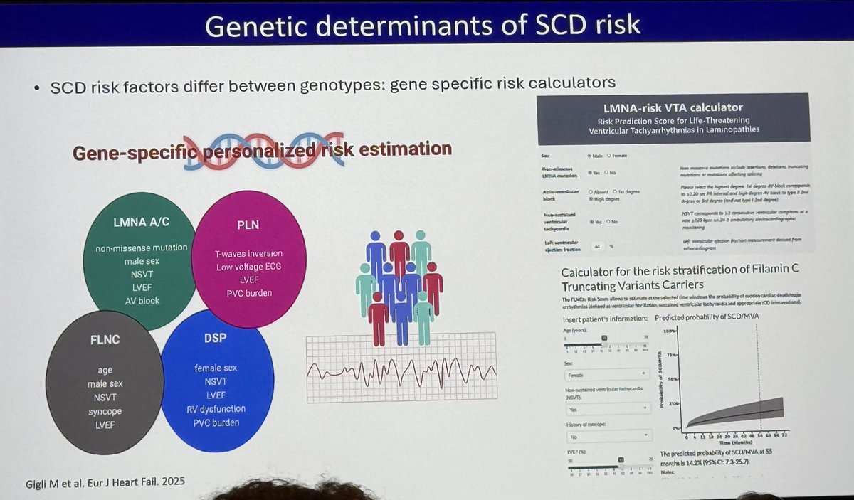 Leema_Robert tweet media