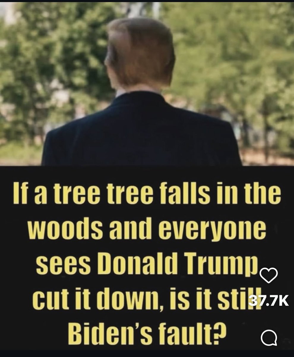 KellyDirks2's tweet image. 