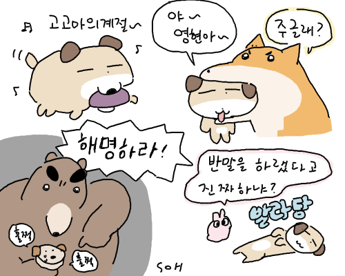 강아지가 막내