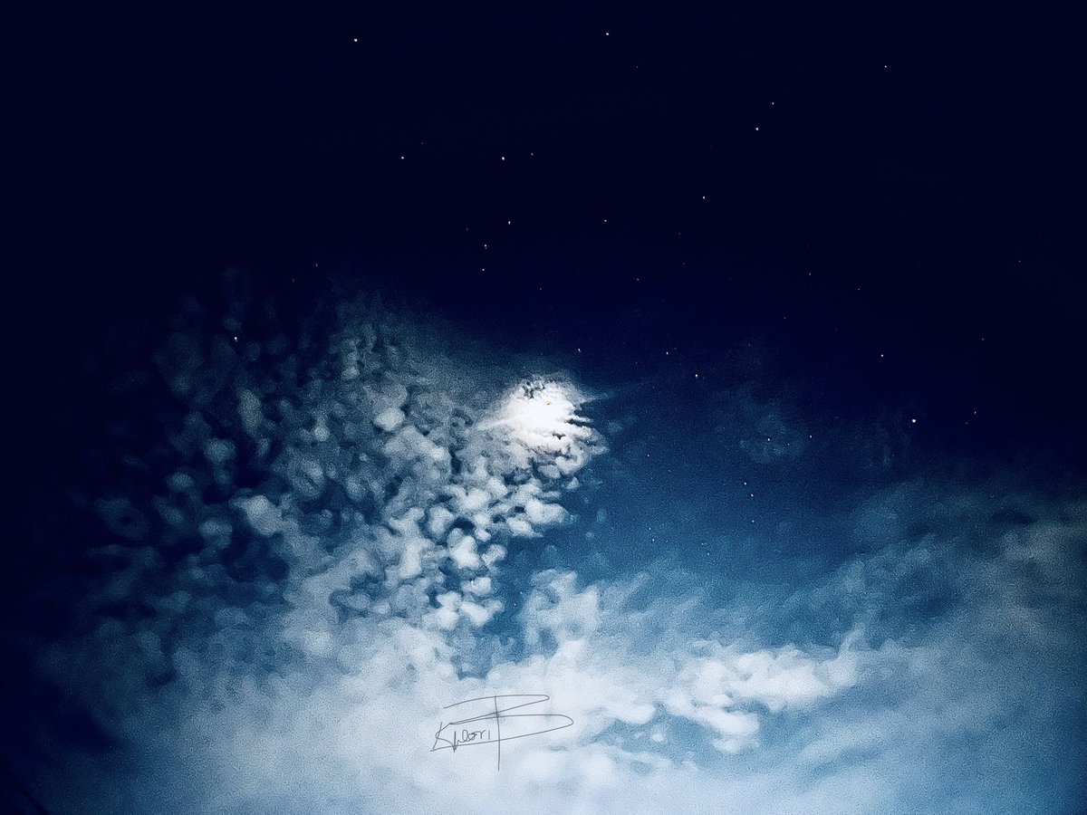 KDL Boboto tweet media