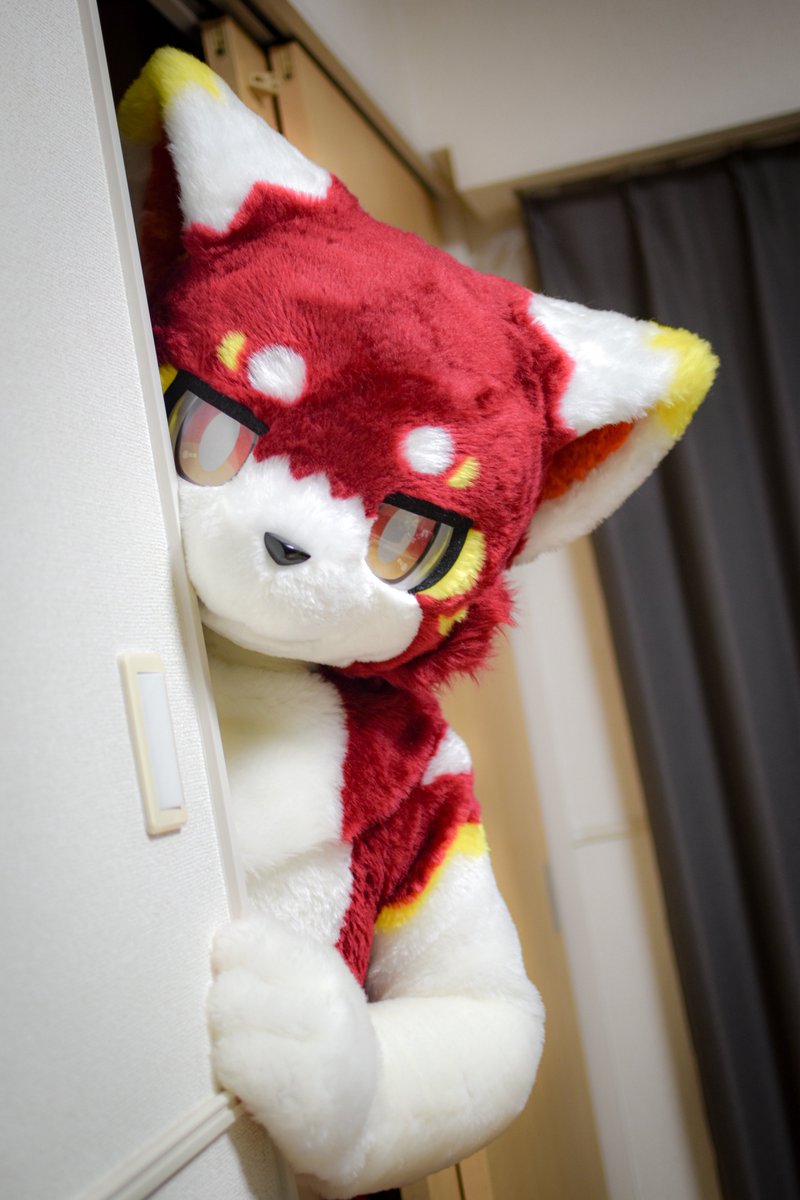 いぬっころ⏩関西けもケット11 tweet media