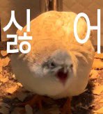 킴게ㅔㅔㅔ악스 (@keangae_mk2) on Twitter photo 