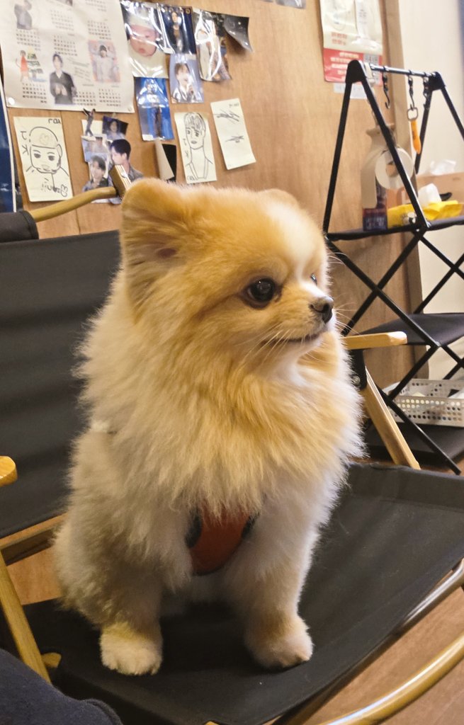 선셋힐 왔는데 (n번째방문) 누가 정구기 옷입혀놓음ㅋㅋㅋ