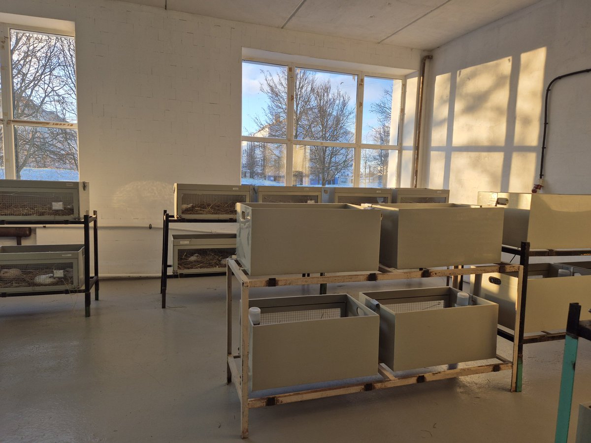 В виварии сегодня красиво