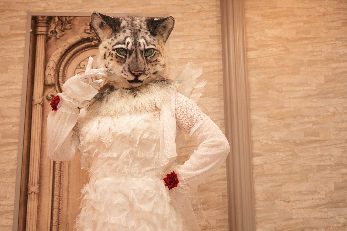 飛騨牛エグチ (@bluetomcat14) / Posts / X