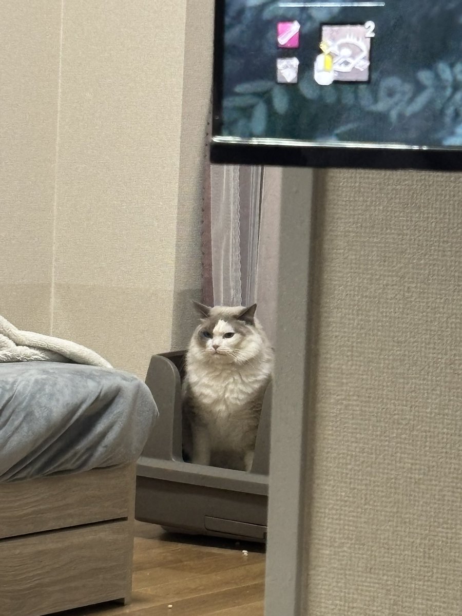 Ichi様 ボルト 14ft FLEX154 0298200.ZXEH | Littelfuse ボルト止め 車