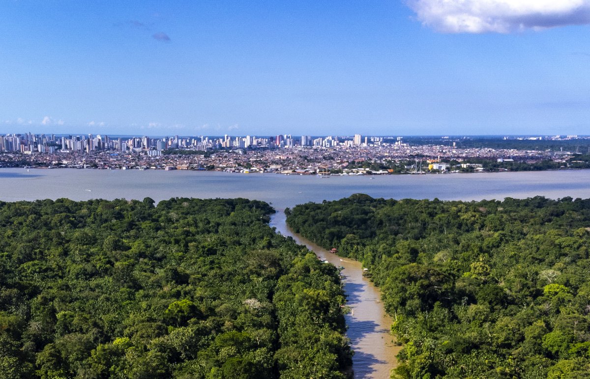 Globethics's tweet image. 💡André Schneider reflects on #COP30 in Belém: agreements were made, but reporting ≠ transformation. 

He shares 4 truths for real impact on the blog:  globethics.net/coming-back-be…

@Cop30noBrasil @cop30naamazonia #TripleBottomLine