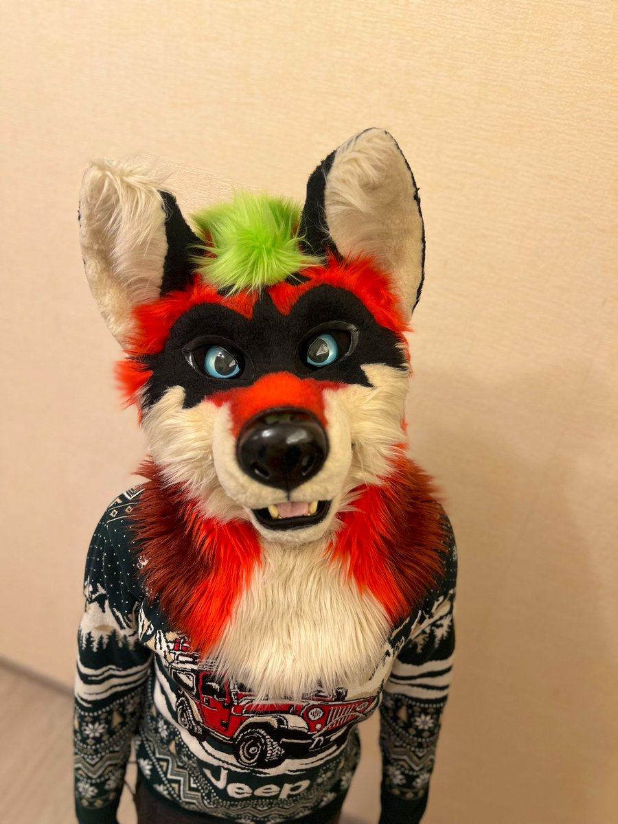 RalfBox's tweet image. feelin’ smol today, might delet 
#FursuitFriday