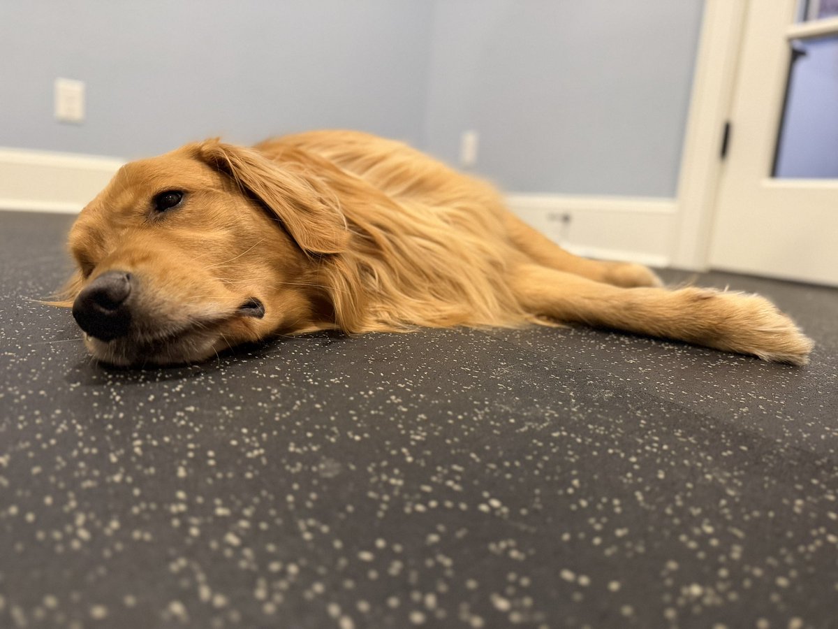 John Shields, MD, FAAOS tweet media