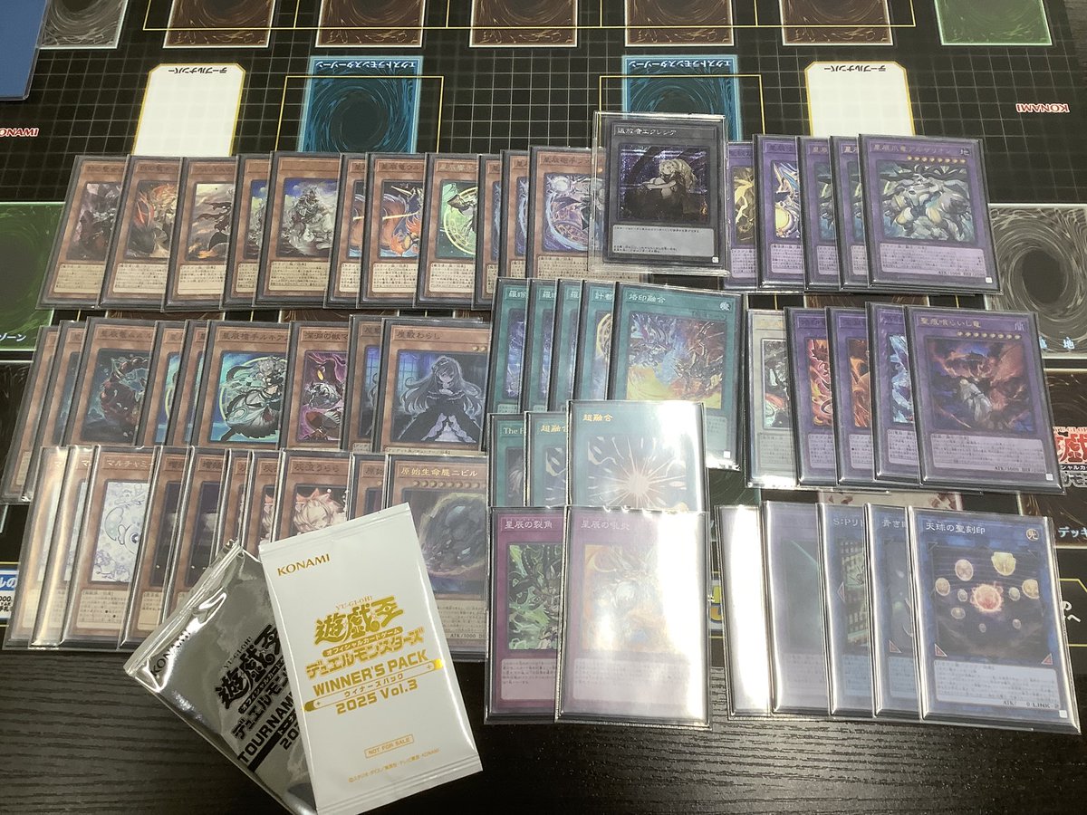 ㅤ ◤#からふだ◢ ㅤ ⚔ 優勝 ばいおす 【烙印ドラゴンテイル