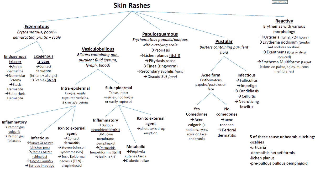 Skin Rashes: Evaluation and Diagnosis
