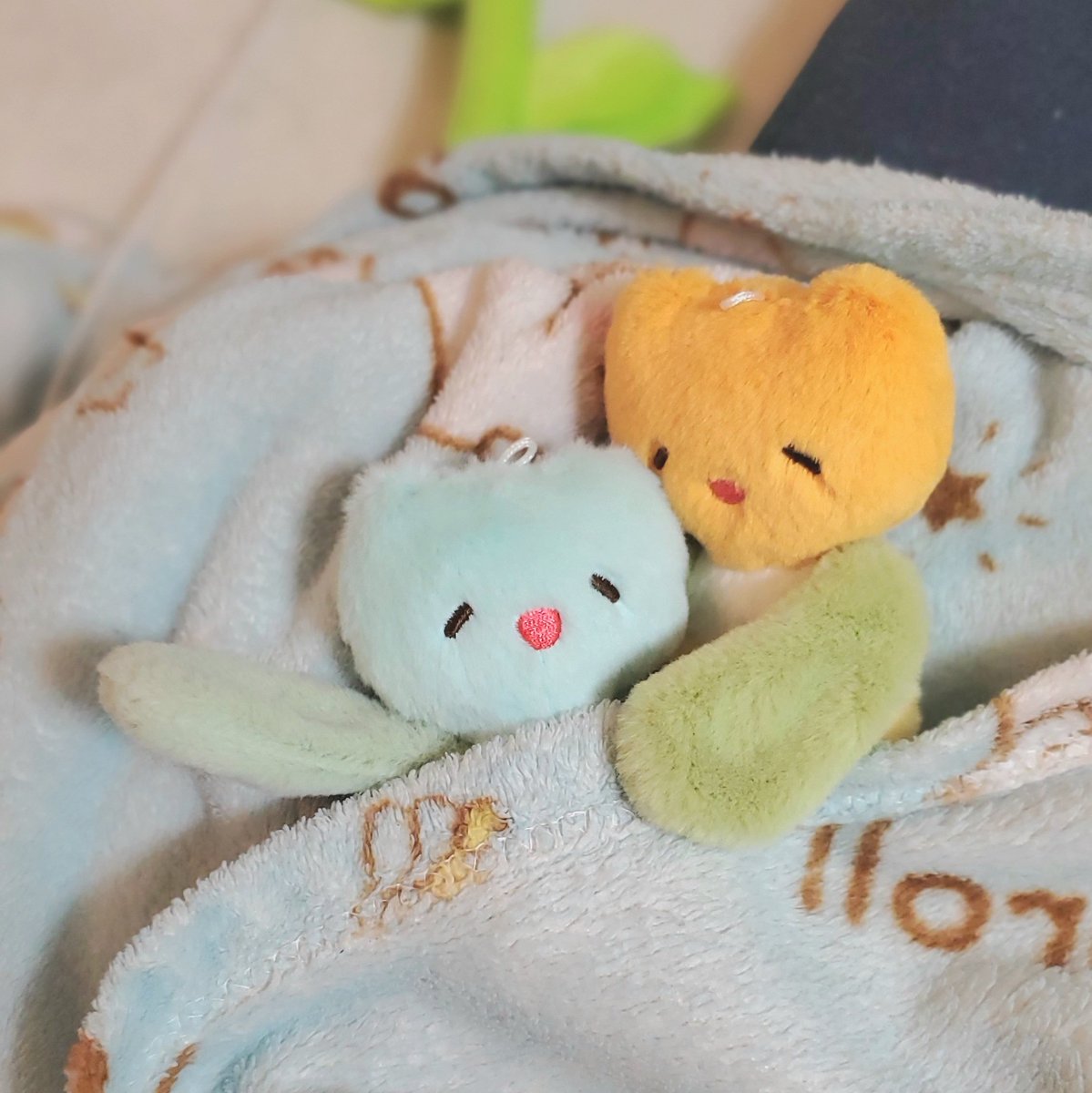 sathi__are's tweet photo. @kinumome_nui おふとんぽかぽかだね~~🛌💤
さちよちゃんといっしょ うれしなの!! https://t.co/ELpbH0Cr4c
