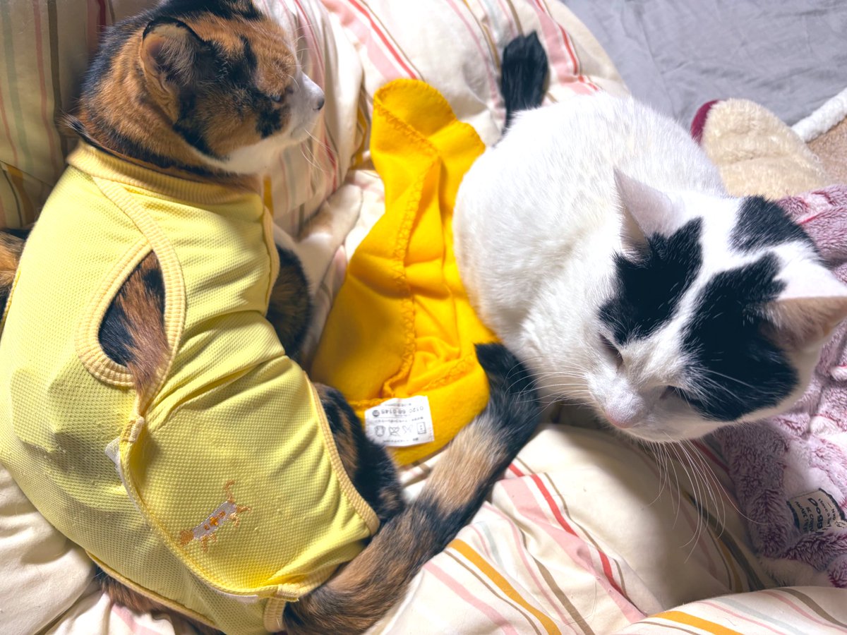 akr (@rkakr) / Posts / X